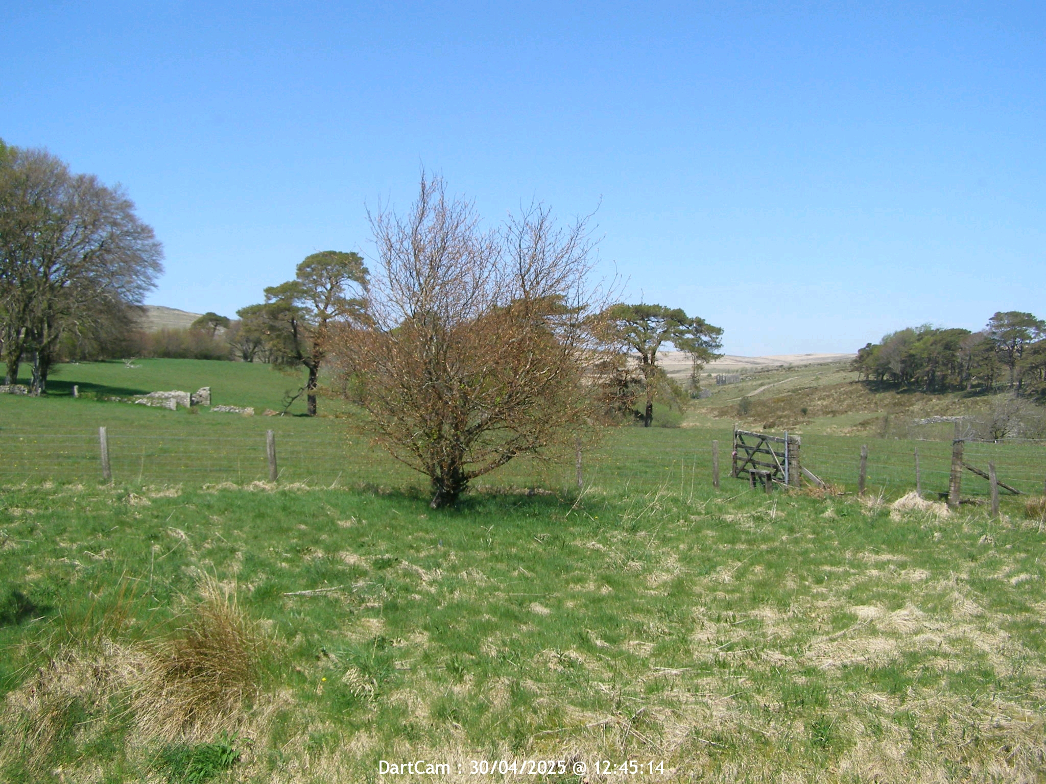 Dartmoor / Princetown / England