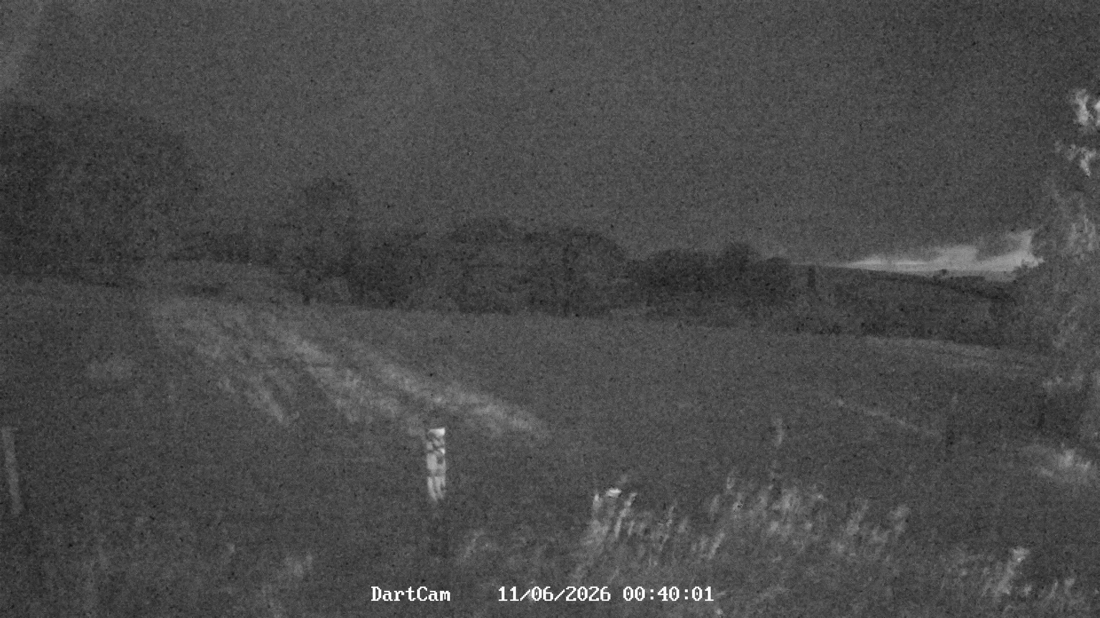 DartCam