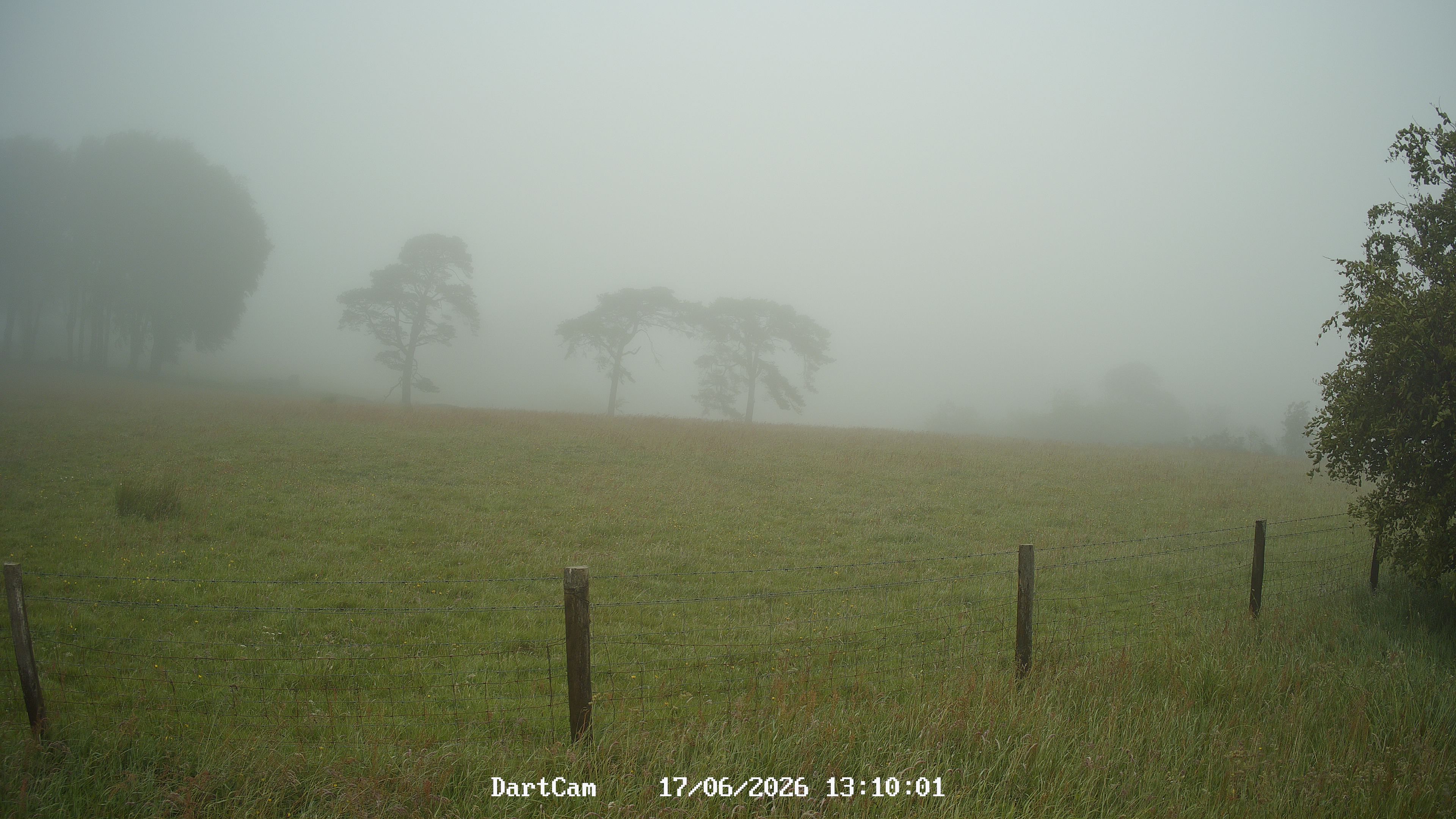 DartCam