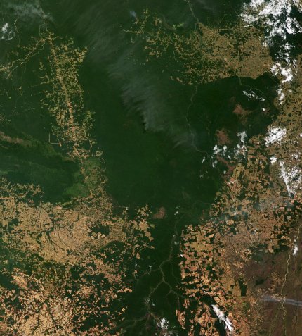 Terra MODIS 250m resolution true colour image showing deforestation in the Amazon rainforest, Brazil