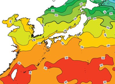 Sea surface temperature forecast