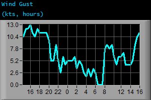Wind Gust (kts, hours)