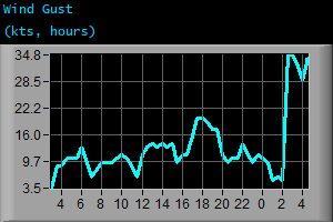 Wind Gust (kts, hours)