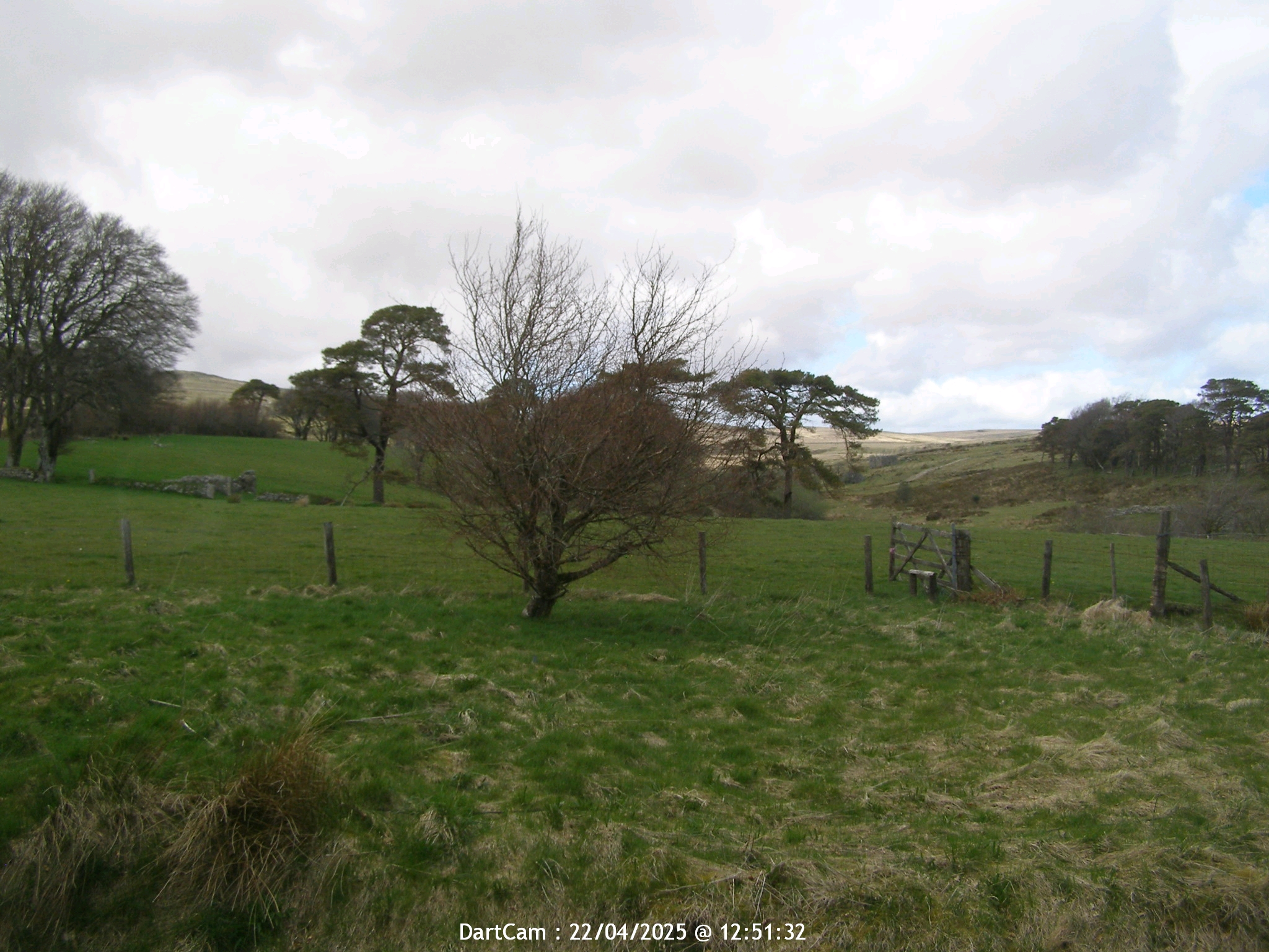 DartCam